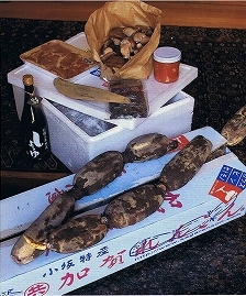 M-ミセス掲載ページ(右)1 M-ミセス掲載ページ(右)1